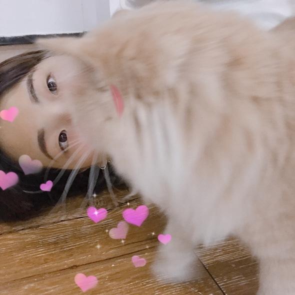 住水星的翼龍👽