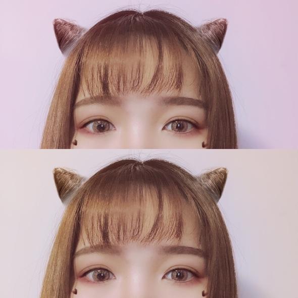 楊羊